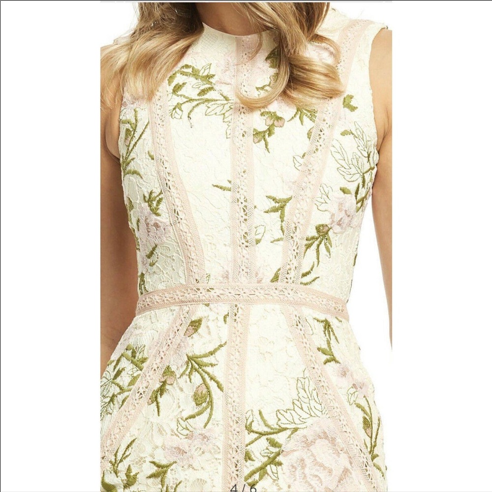 Dress the Population Penelope Sleeveless Lace Sheath Dress - Picture 3 of 12